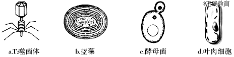 www.xiangpi.com
