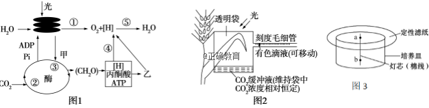 www.xiangpi.com