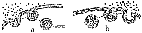 www.xiangpi.com