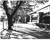 www.xiangpi.com