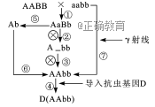 www.xiangpi.com