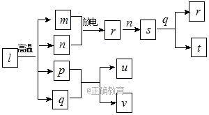 www.xiangpi.com