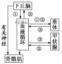 www.xiangpi.com