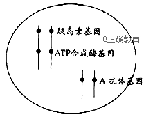 www.xiangpi.com