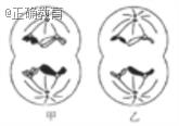 www.xiangpi.com
