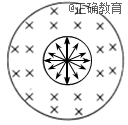 www.xiangpi.com