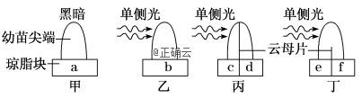 www.xiangpi.com