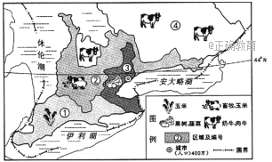 www.xiangpi.com