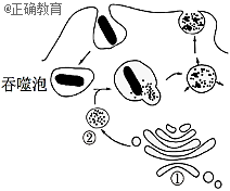 www.xiangpi.com