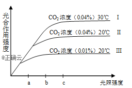 www.xiangpi.com