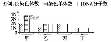 www.xiangpi.com