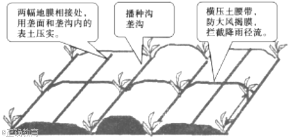 www.xiangpi.com