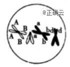 www.xiangpi.com