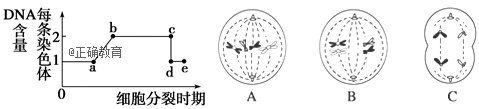 www.xiangpi.com