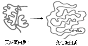 www.xiangpi.com