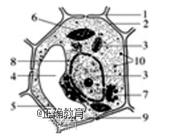 www.xiangpi.com