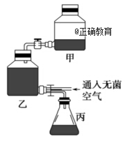 www.xiangpi.com