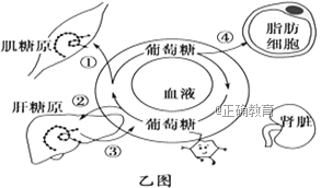www.xiangpi.com