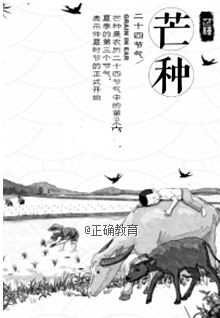 www.xiangpi.com