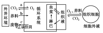 www.xiangpi.com