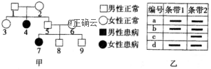 www.xiangpi.com