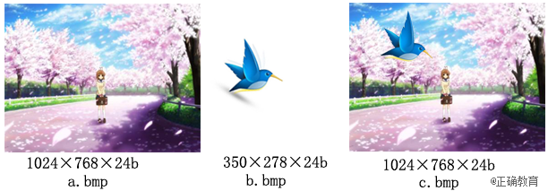www.xiangpi.com