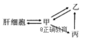 www.xiangpi.com