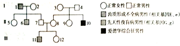 www.xiangpi.com