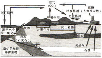 读碳循环示意图,回答1一2题.