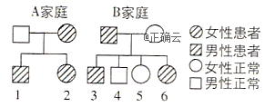 www.xiangpi.com