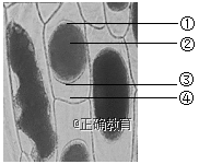 www.xiangpi.com