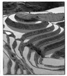 www.xiangpi.com