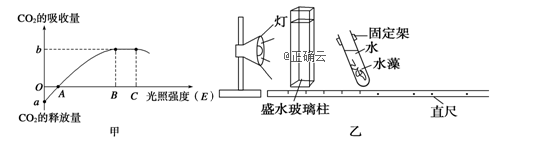 www.xiangpi.com