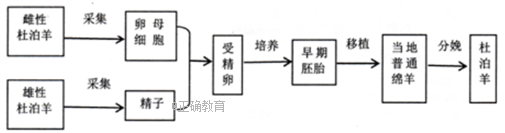 www.xiangpi.com