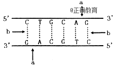 www.xiangpi.com