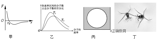 www.xiangpi.com