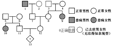 www.xiangpi.com