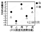 www.xiangpi.com