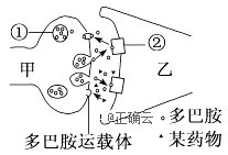 www.xiangpi.com