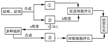 www.xiangpi.com