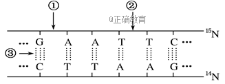 www.xiangpi.com