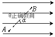 www.xiangpi.com