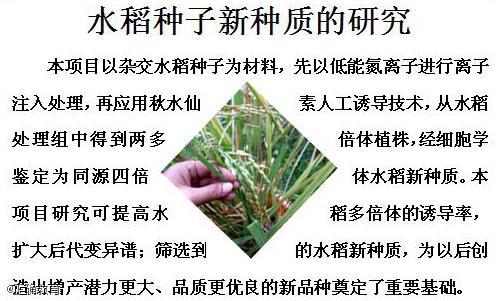 www.xiangpi.com