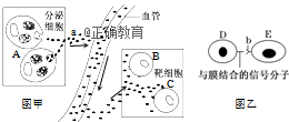 www.xiangpi.com