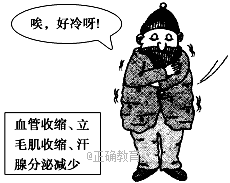 www.xiangpi.com
