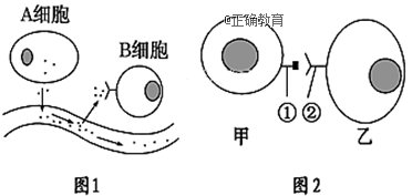 www.xiangpi.com