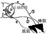 www.xiangpi.com