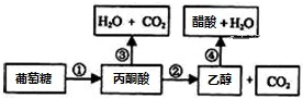www.xiangpi.com