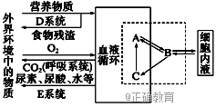 www.xiangpi.com