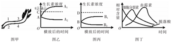 www.xiangpi.com